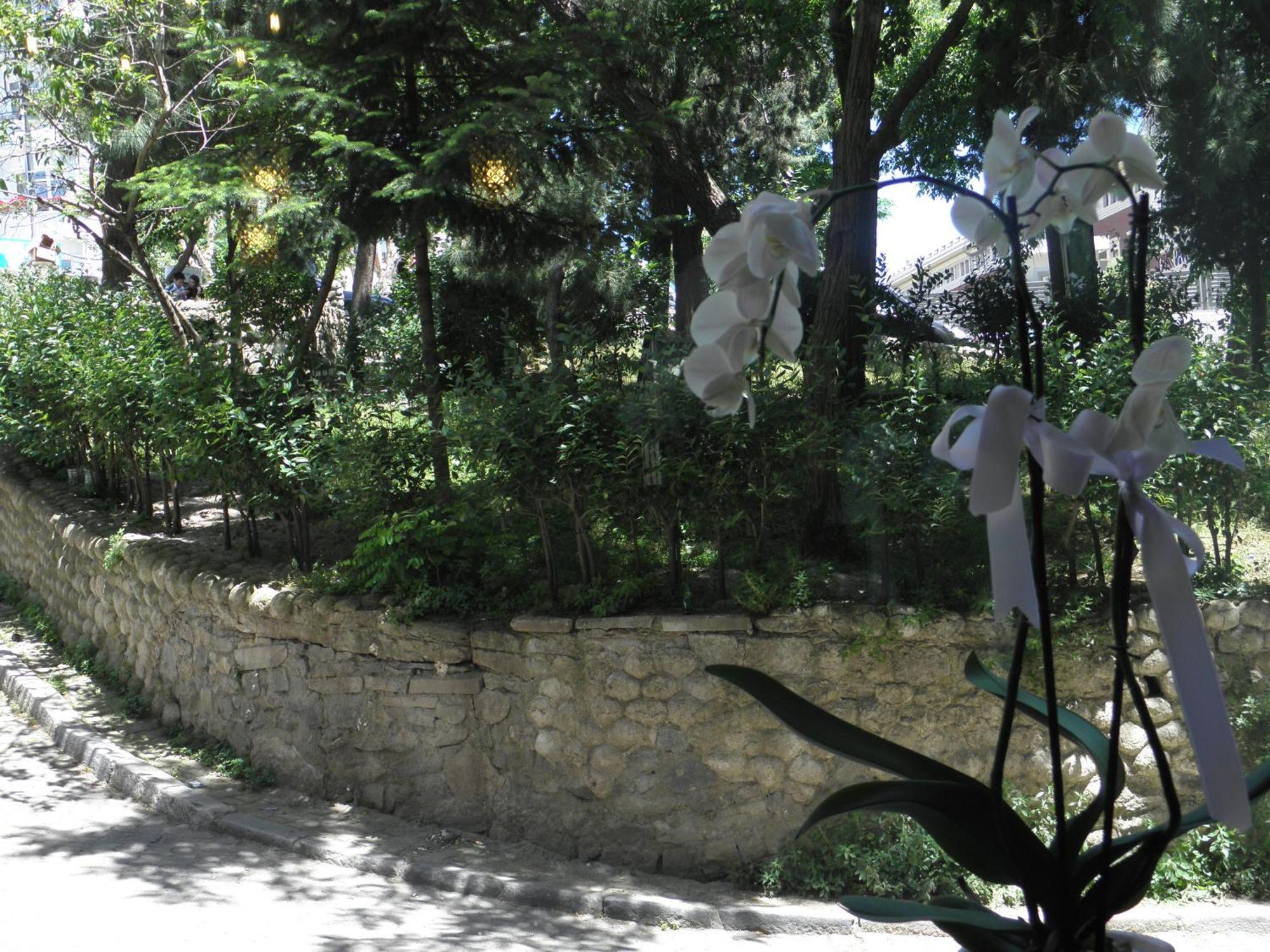 Omar Sultan Park Suites Istanbul Exterior photo